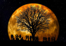 moonipulations:  Moon Park - Photography by Smita Nashikkar http://bit.ly/1wdfPmm #moon #people #tree﻿