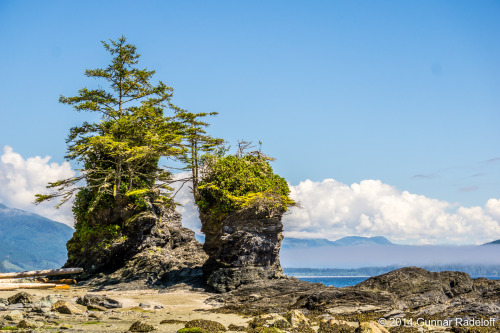 7.7.2014 - day 5 on the West Coast Trail - this trail is $^%@ing awesome!#BC #Canada #VancouverIslan