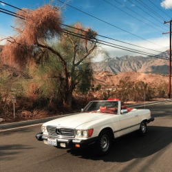 renellaice:  Palm Springs with the swag ride