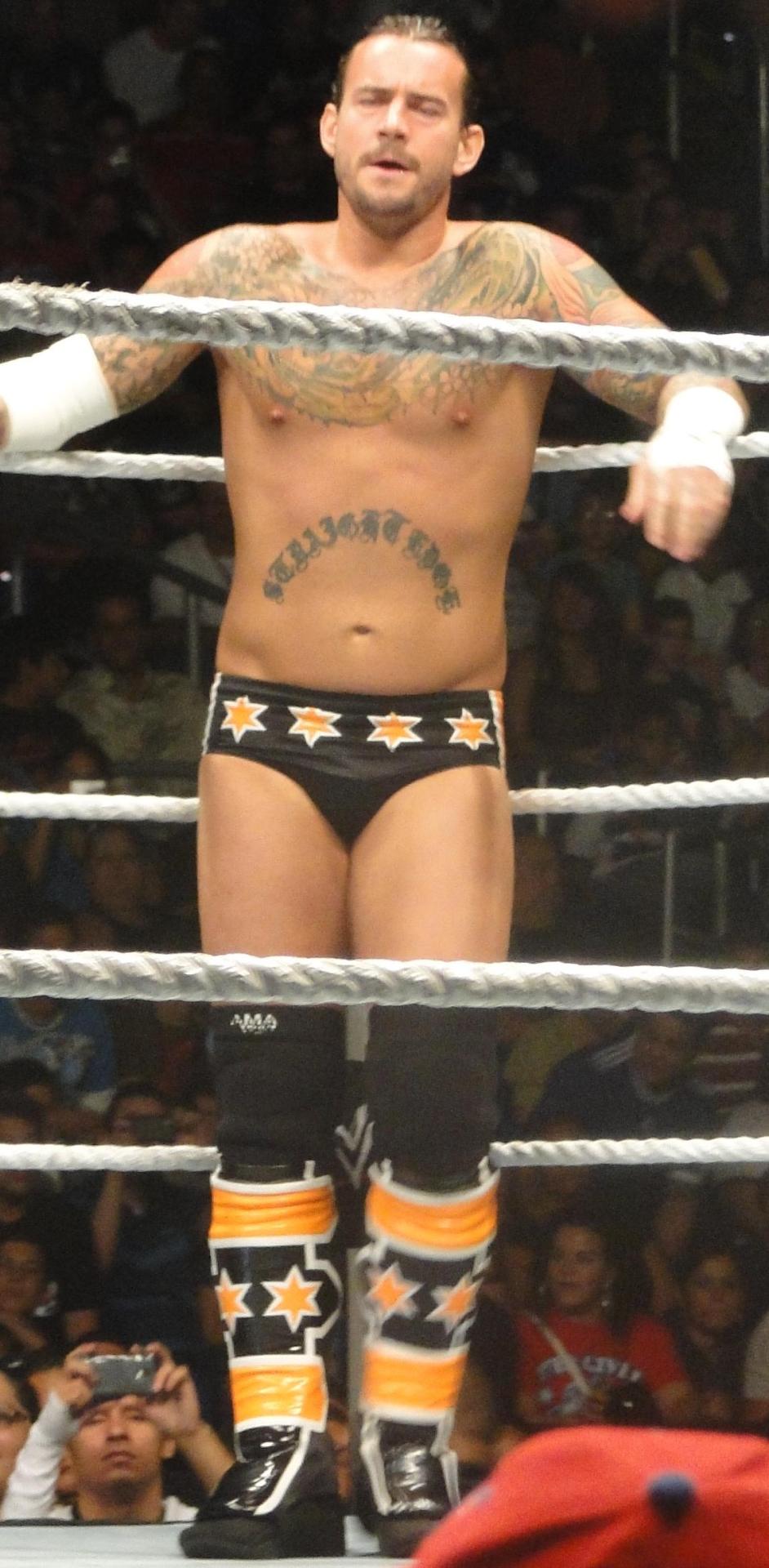 sexy wrestlers