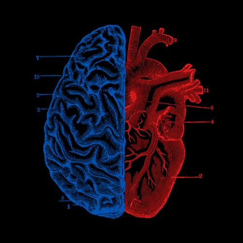 pr1nceshawn:   Heart And Brain.