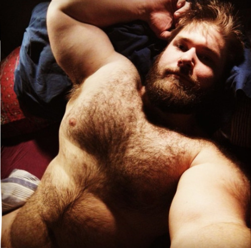 Porn photo Hairy n Muscle Men