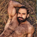 hairydadsandmuscle: