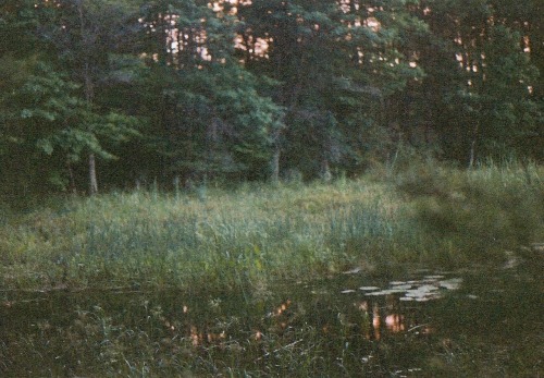 little-honeybeee: Cabin weather
