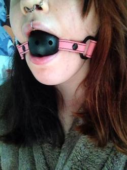 kittybeartime:  Daddy’s gagged little whore