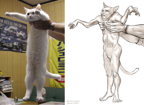 gaeree: I drew these while thinking about that Cats trailer. It IS Caturday. We still do Caturday, r