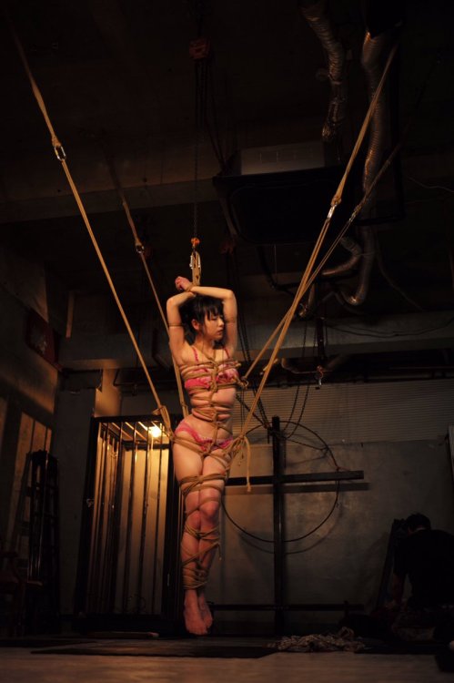 Porn Pics japanesebdsmofficial:    Shibari Kinoko Hajime