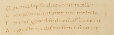 Tanta est quae Titio columna pendetQuanta lampsachiae colunt puellaeHic nullo comitante nec molestoT