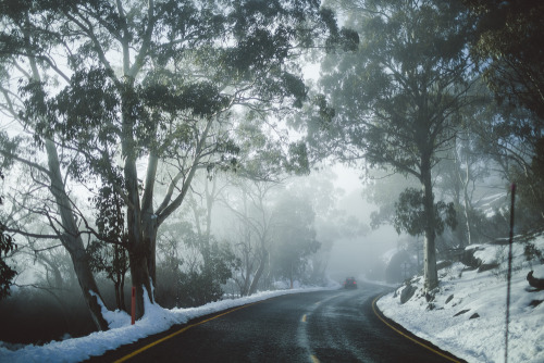 theadventuretruck:  We started to make our way down from Mount Buffalo, stopping at Crystal Brook Fa