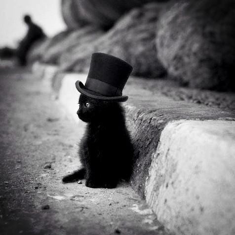 myrightmind:  Extreme cuteness!