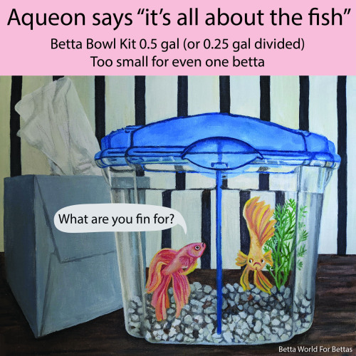 The Aqueon Betta Bowl Kit is 0.5 gallons, or 0.25 gallons per Betta with the divider. This is too sm