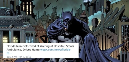 Batfamily + Florida Man
