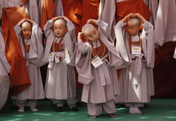  Young Buddhist monks feel their newly shaved