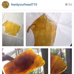 zerobrand:  One of the nicest people I’m lucky enough to call my friend… if your not following him… your fucking up. GO FOLLOW @feedyourhead710  @feedyourhead710 @feedyourhead710 !!!! #feedyourhead710 #zerobrand #cleanconcentrates #dabsrus #dabbersdaily