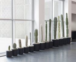 contemporary-art-blog:  Martin Creed, Work