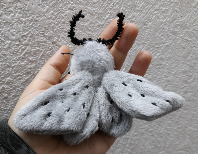 ꕤ omg how beautiful!! muslin moth by NaBakir ꕤ #handmade plush#nabakir#nabakir plushie#stuffed animals#stuffies#plushies#plushie#plush#plushblr#safe plush#cute#wholesome#moth#moths#muslin moth#muslin#moth plush#moth plushie #muslin moth plushie #nabakir moth#wishlist#rochemonky