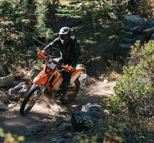 wlfenduro:🌿 @markfinley 🌿 between two ferns. #FoxMoto #WLFenduro  (at The Woods)https://www.instagram.com/p/CUvDK3dFZNH/?utm_medium=tumblr