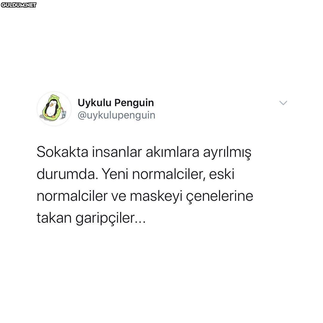 Uykulu Penguin A...