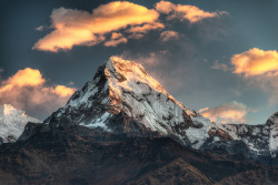 brutalgeneration:  Poon Hill, Nepal (by CamelKW)