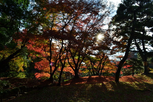 小石川後楽園 (Koishikawakorakuen, Bunkyo-ku, Tokyo)