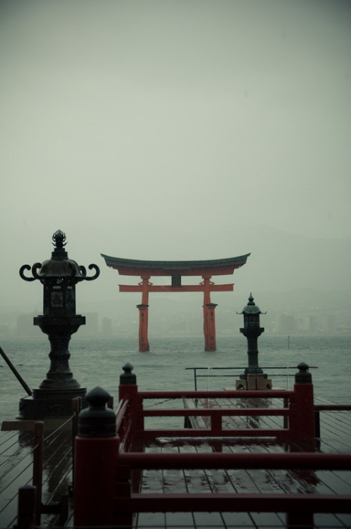 fuckyeahjapanandkorea: Torii shrine.  Japan. (by Sofia_Alves) 