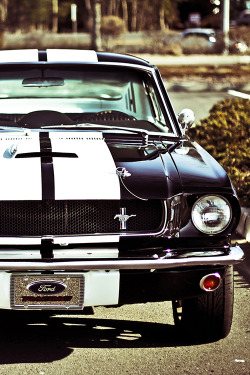 boomclapbang:  Ford Mustang