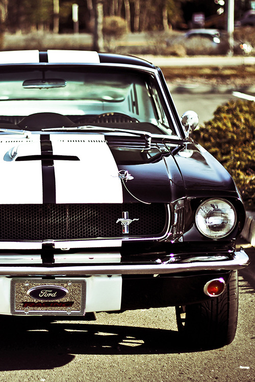 Porn photo boomclapbang:  Ford Mustang