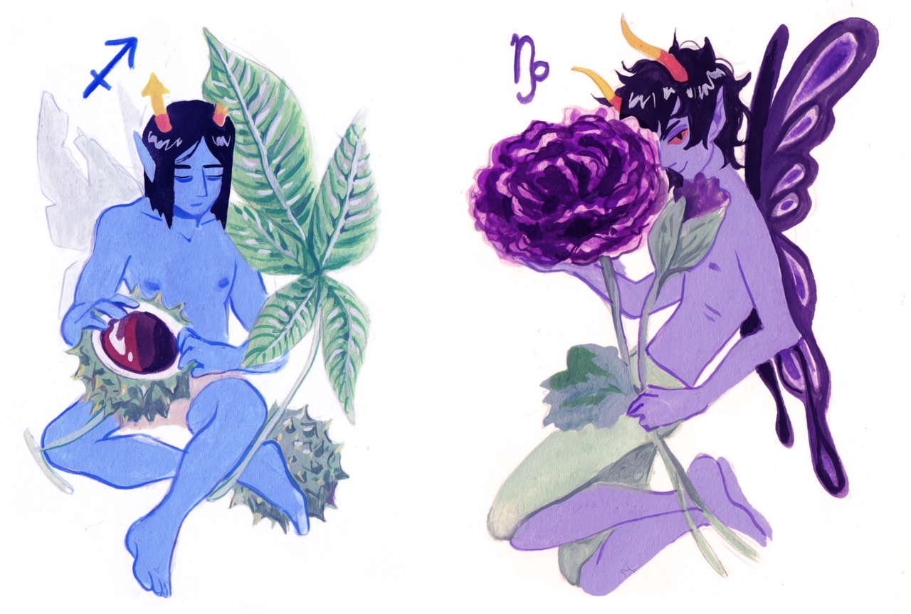 wildparsnip:  fairystuck (/・_・)ノ.:*・°☆ I DID IT!!! this was so fun.