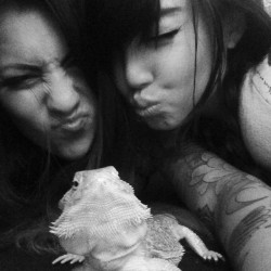 dalimoon:  Bff is the mother of dragon. I am the auntie of dragon. Miss you @valerienikole😢! #beardeddragon #judyjetts #bff #fobtalk 