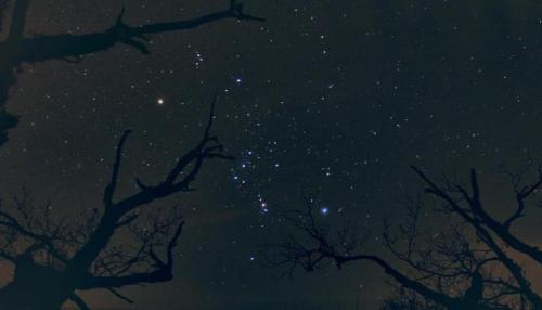 thenewenlightenmentage:Brilliant Orion Rises in the Winter SkyImage Credit: Amit V. Purandare