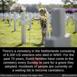 mindblowingfactz:  There’s a cemetery in the Netherlands consisting of 8,300 US veterans who died in WWII. For the past 70 years, Dutch families have come to the cemetery every Sunday to care for a grave they adopted. Hundreds of people are currently