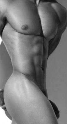 malebodylines:  muscle scape