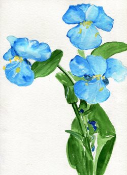 havekat:  Blue Day Watercolor On Paper 2016,