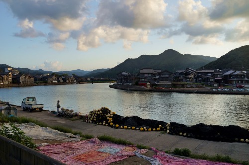 A fisherman and pink tarps. / 漁村に広がるピンクのシート。