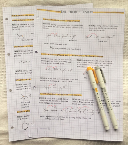 More organic chemistry + newest family member <3 