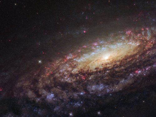 nasa: Say hello to spiral galaxy NGC 7331 Happy National Twin Day!  The majestic spiral galaxy NGC 7