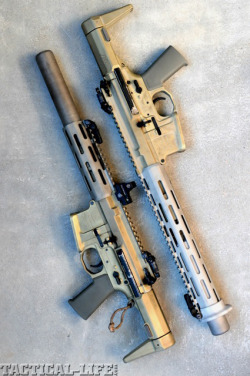 27wordsworthfightingfor:  AAC Honey Badger