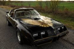 bigboppa01:  1979 Pontiac Firebird Trans Am, 455 big block