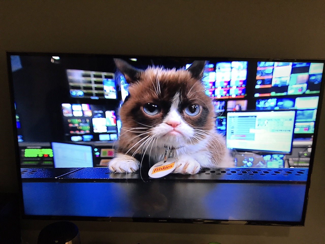 Miss Grumpy Cat on @GMA this morning? Watch the terrible clip now! 
https://abcnews.go.com/topics/entertainment/tardar-sauce.htm