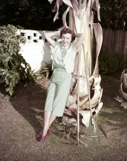 twixnmix:Betty White at home with her dogs Bandy, Stormy, and Danny in 1954.