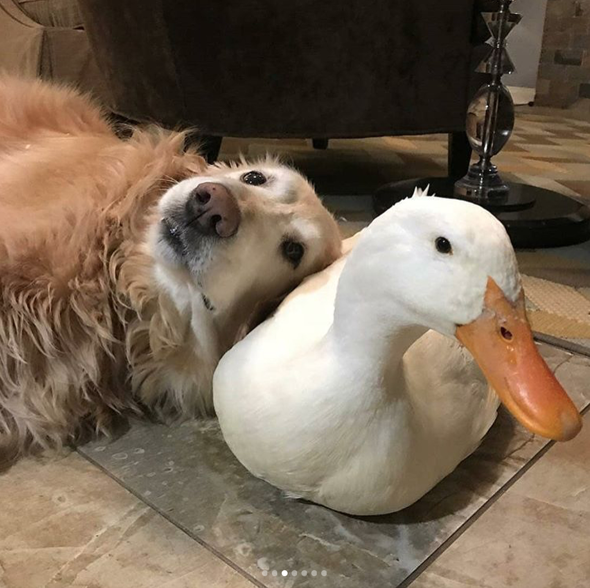 I Wouldn’t Show Mom