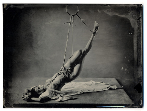 mjranum:  Any landing you walk away from (Model: Roarie Yum)6x8” ambrotype on black glass