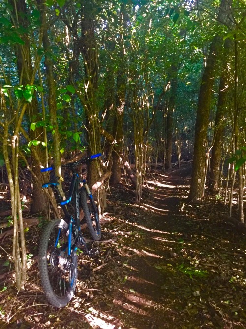 talon70: Twilight ride Camden