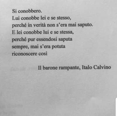 Citazioni Calvino Explore Tumblr Posts And Blogs Tumgir