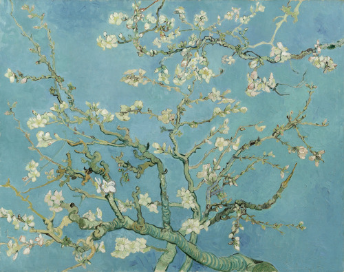 Vincent Van Gogh (1853-1890) “Almond Blossom” 1890