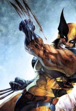 comicbookartwork:Wolverine