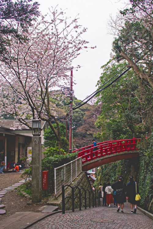 Enoshima, Japan