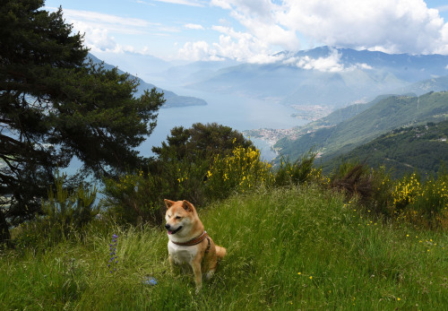 Lake Como, Italy