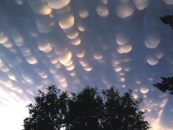 Soilwitch:  Yeardleysmith:  Mammatus Clouds Over Saskatchewan, Canada   Lil Moons