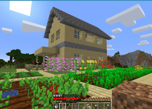 werebolf: i drew over my minecraft house